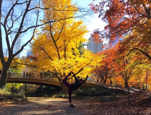 The Big Apple and Central Park