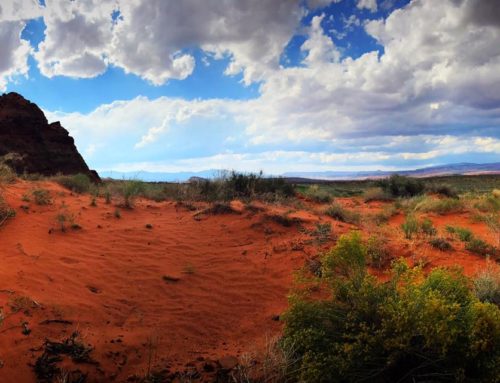 Zion, pure fire desert energy.